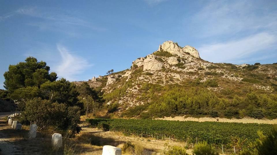 Appartamento Le Lapin Blanc Saint-Rémy-de-Provence Esterno foto