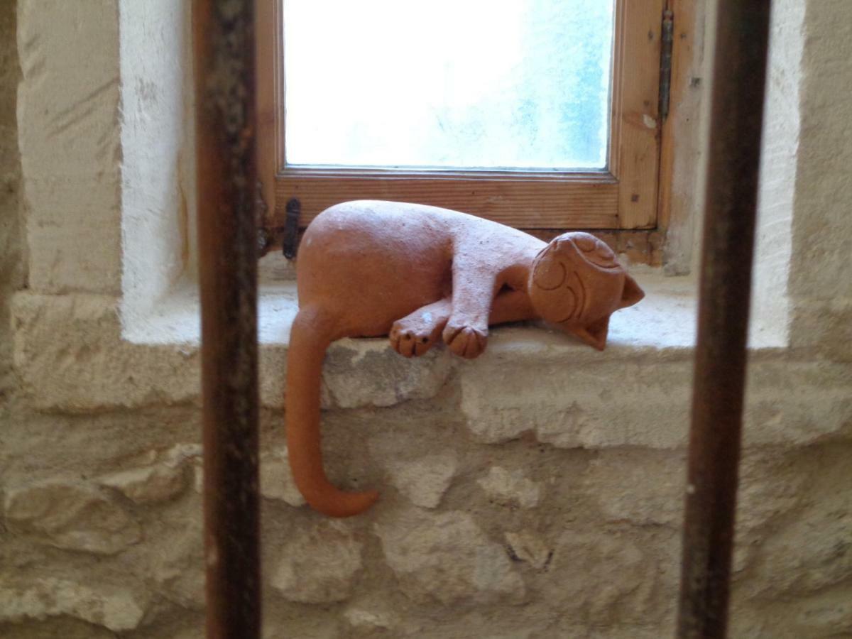 Appartamento Le Lapin Blanc Saint-Rémy-de-Provence Esterno foto